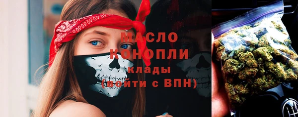 твердый Новозыбков