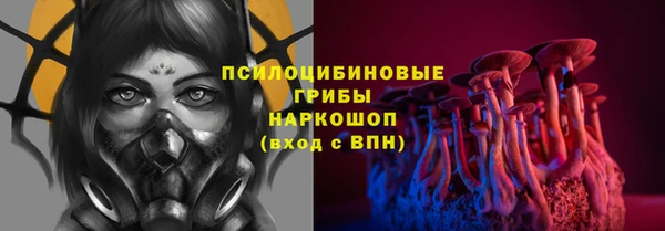 гидропоника Новодвинск