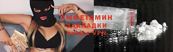 твердый Новозыбков