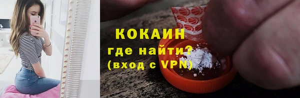 твердый Новозыбков