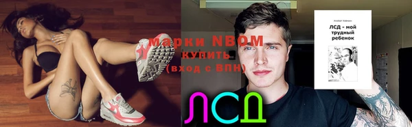 твердый Новозыбков