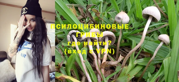 твердый Новозыбков