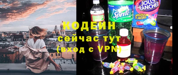 твердый Новозыбков