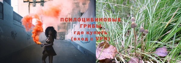 гидропоника Новодвинск
