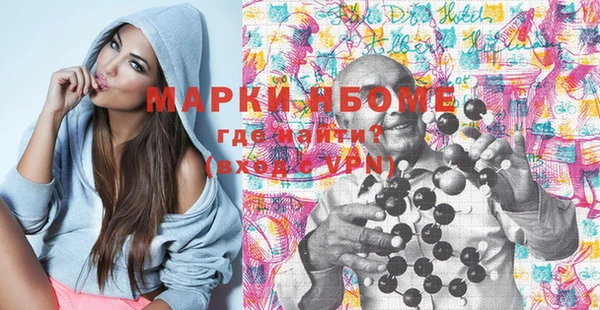 твердый Новозыбков