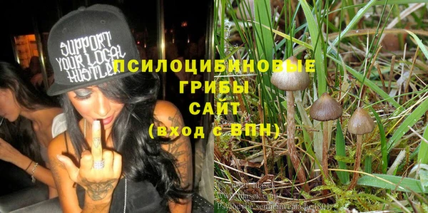 гидропоника Новодвинск