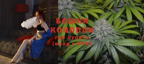 твердый Новозыбков