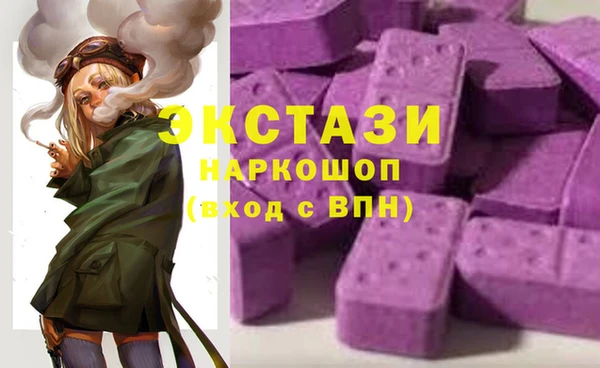 ECSTASY Елизово